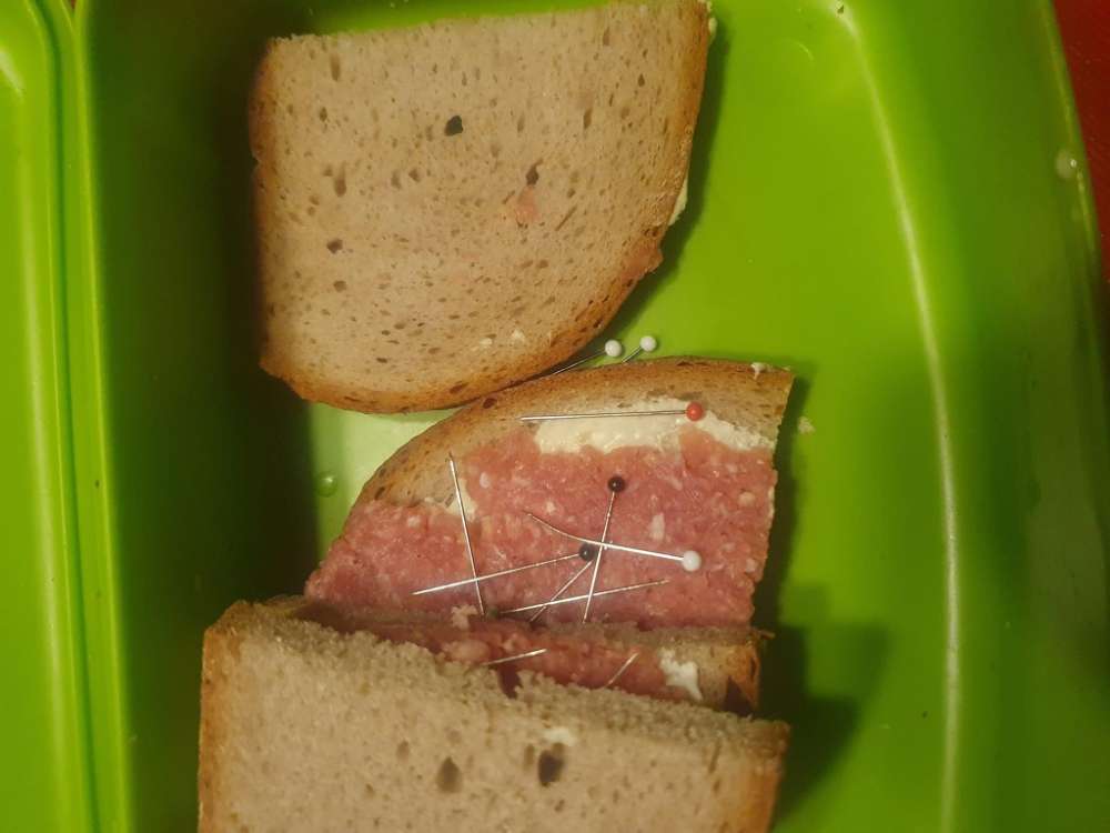 Giftköder-Giftköder - Brot mit Nadeln-Profilbild