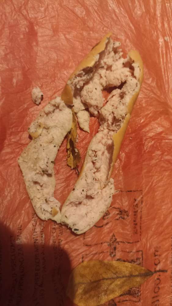 Giftköder-vermutl. Giftköder-Profilbild
