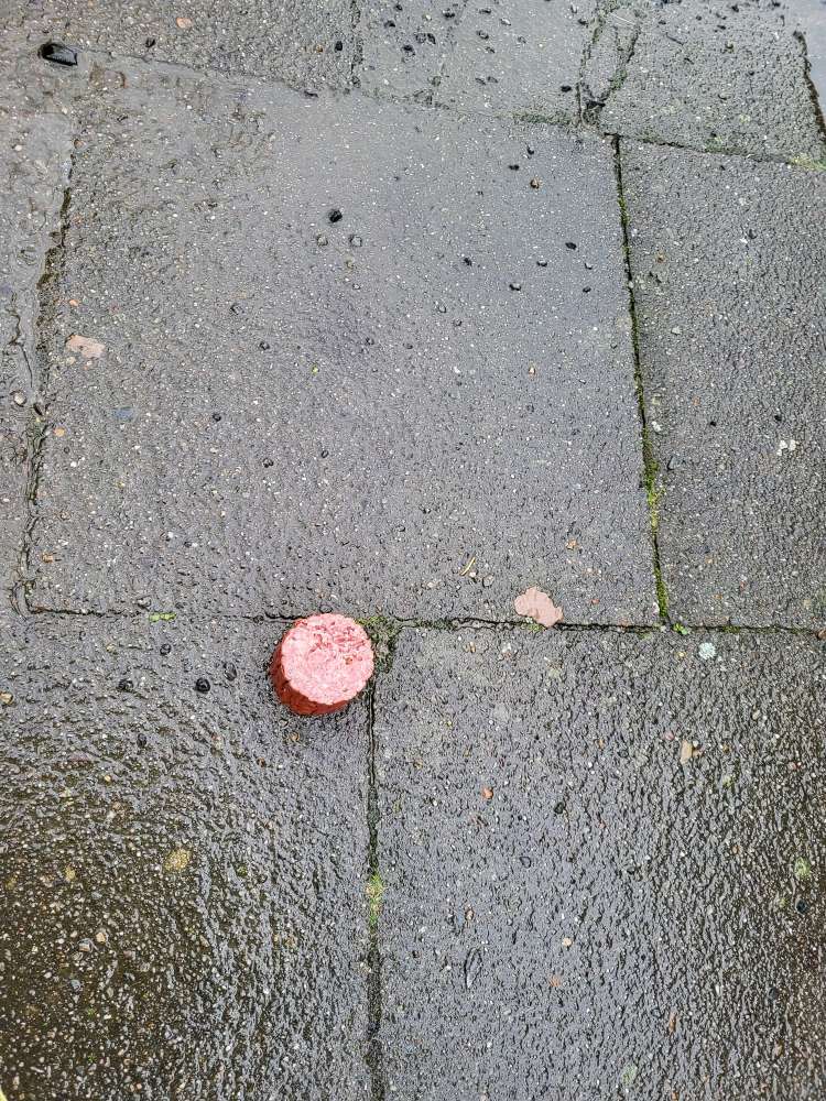 Giftköder-WURST-Profilbild