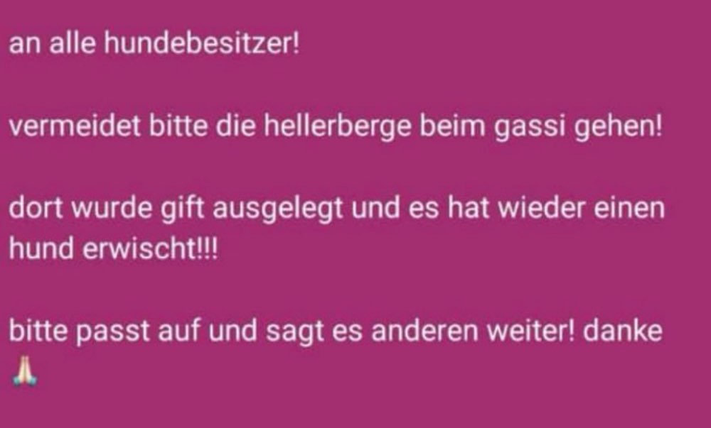 Giftköder-Giftköder-Profilbild