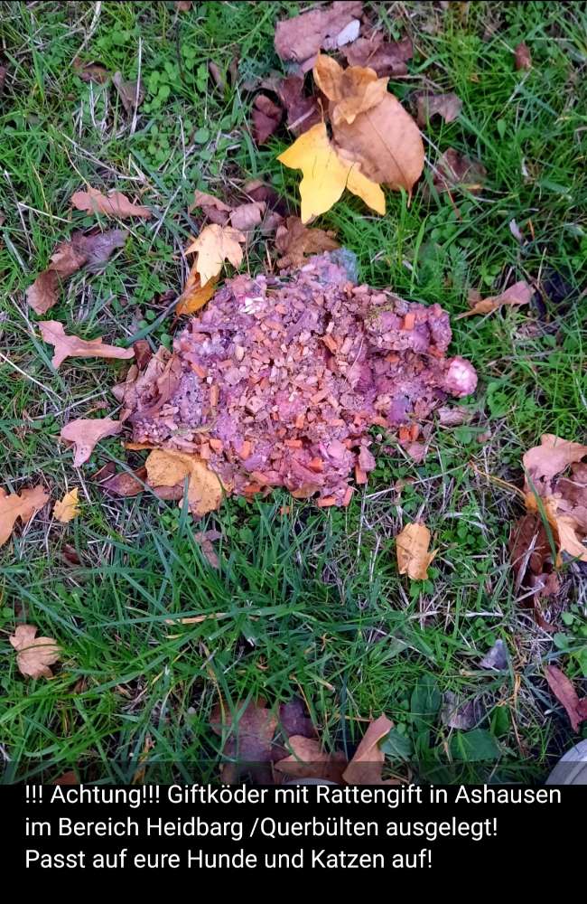 Giftköder-Giftköder-Profilbild