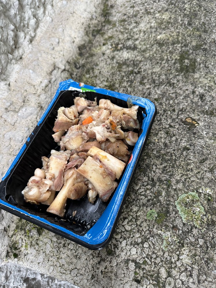 Giftköder-Giftköder?-Profilbild