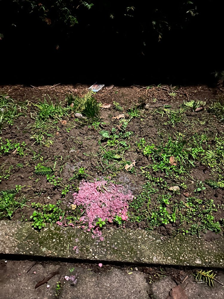 Giftköder-Eventuell Giftköder / Essensreste-Profilbild