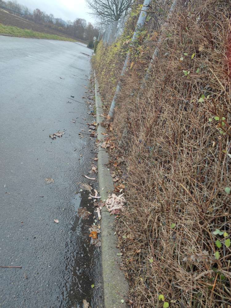 Giftköder-Knochen und Innereien-Profilbild