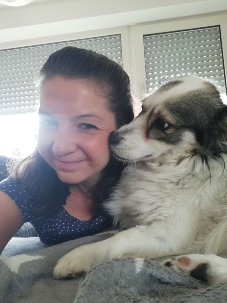 Hundetreffen-Social Walk im Königsforst-Profilbild
