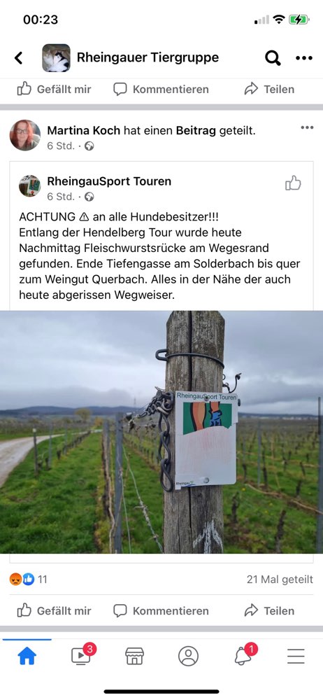 Giftköder-Fleischwurstköder-Profilbild