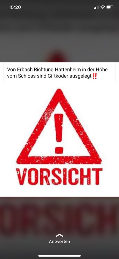 Giftköder-Giftköder-Profilbild