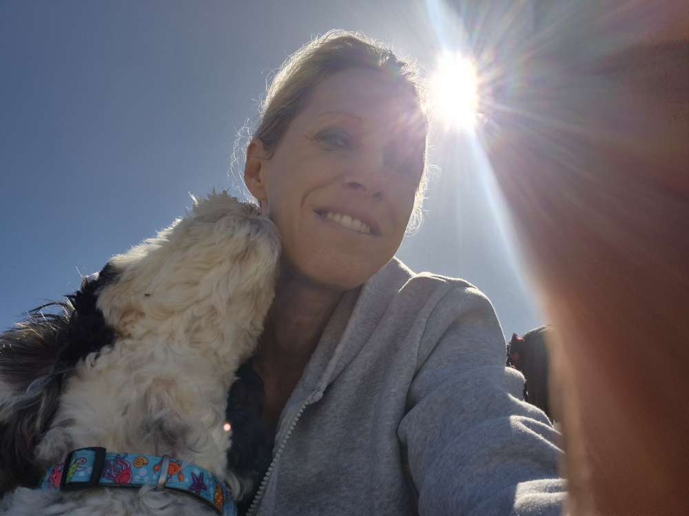 Hundetreffen-Hermes & ich suchen nette Gassi-Begleitung 🐾-Profilbild