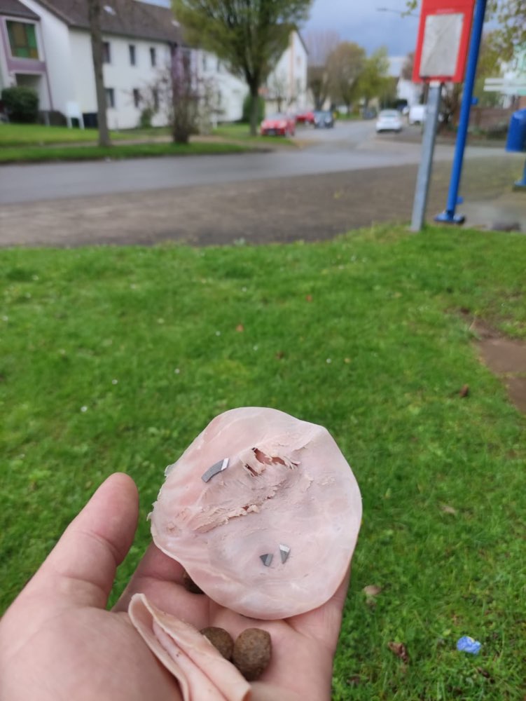 Giftköder-Giftköder Moorlage gefunden-Profilbild