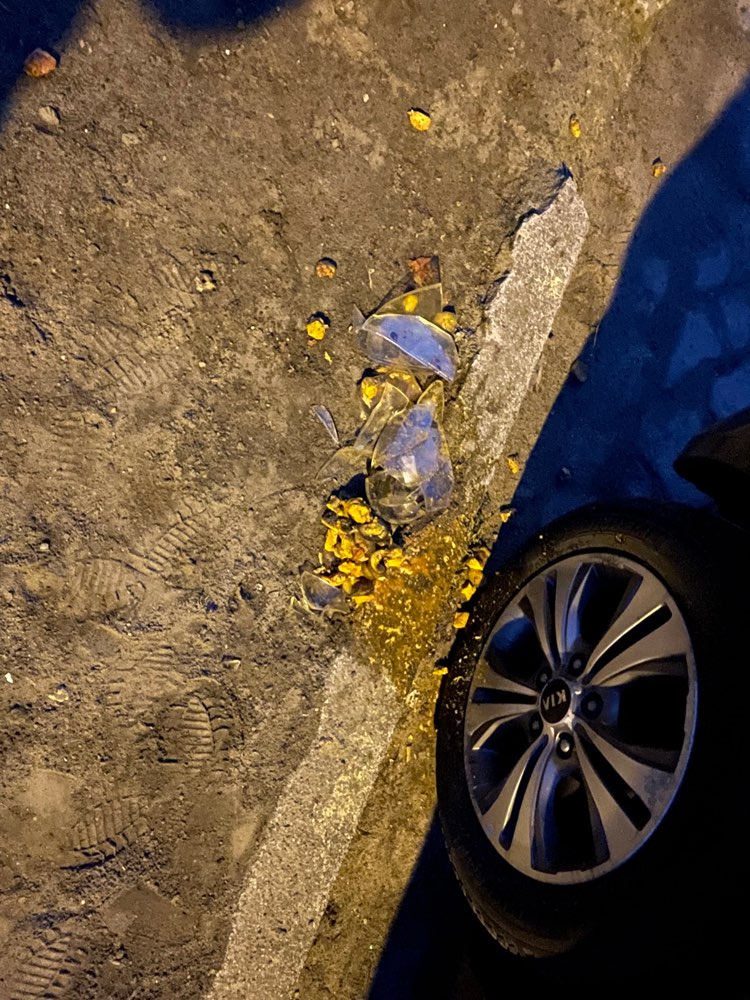 Giftköder-Zerbrochenes Glas + Fleischstücken-Profilbild