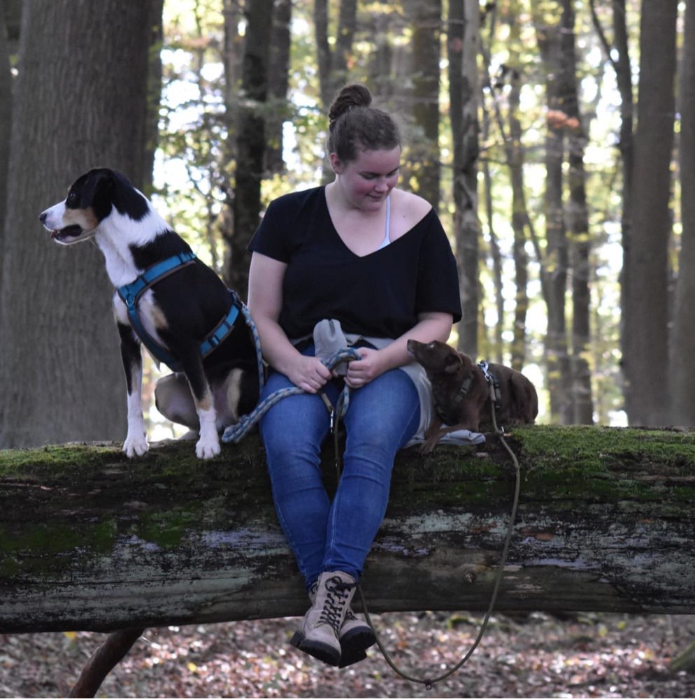 Hundetreffen-Social Walk-Profilbild