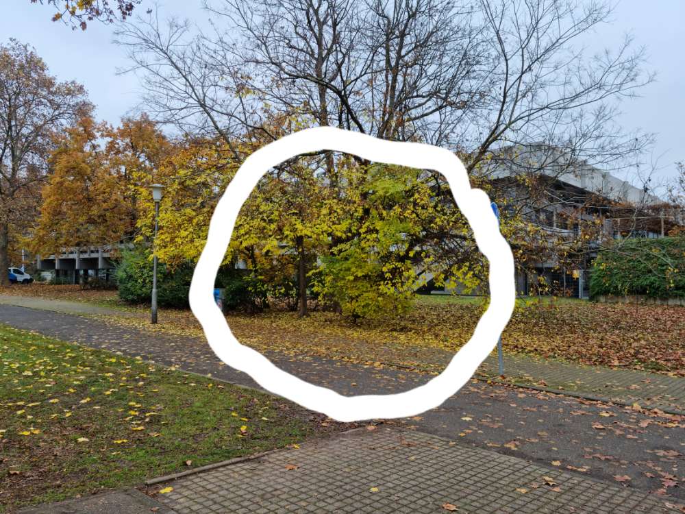 Giftköder-Mögliche Giftköder-Profilbild