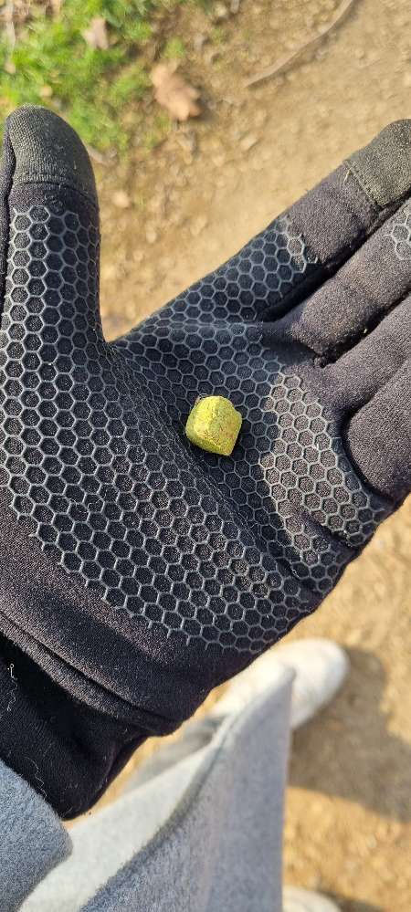 Giftköder-Mglw Giftköder-Profilbild