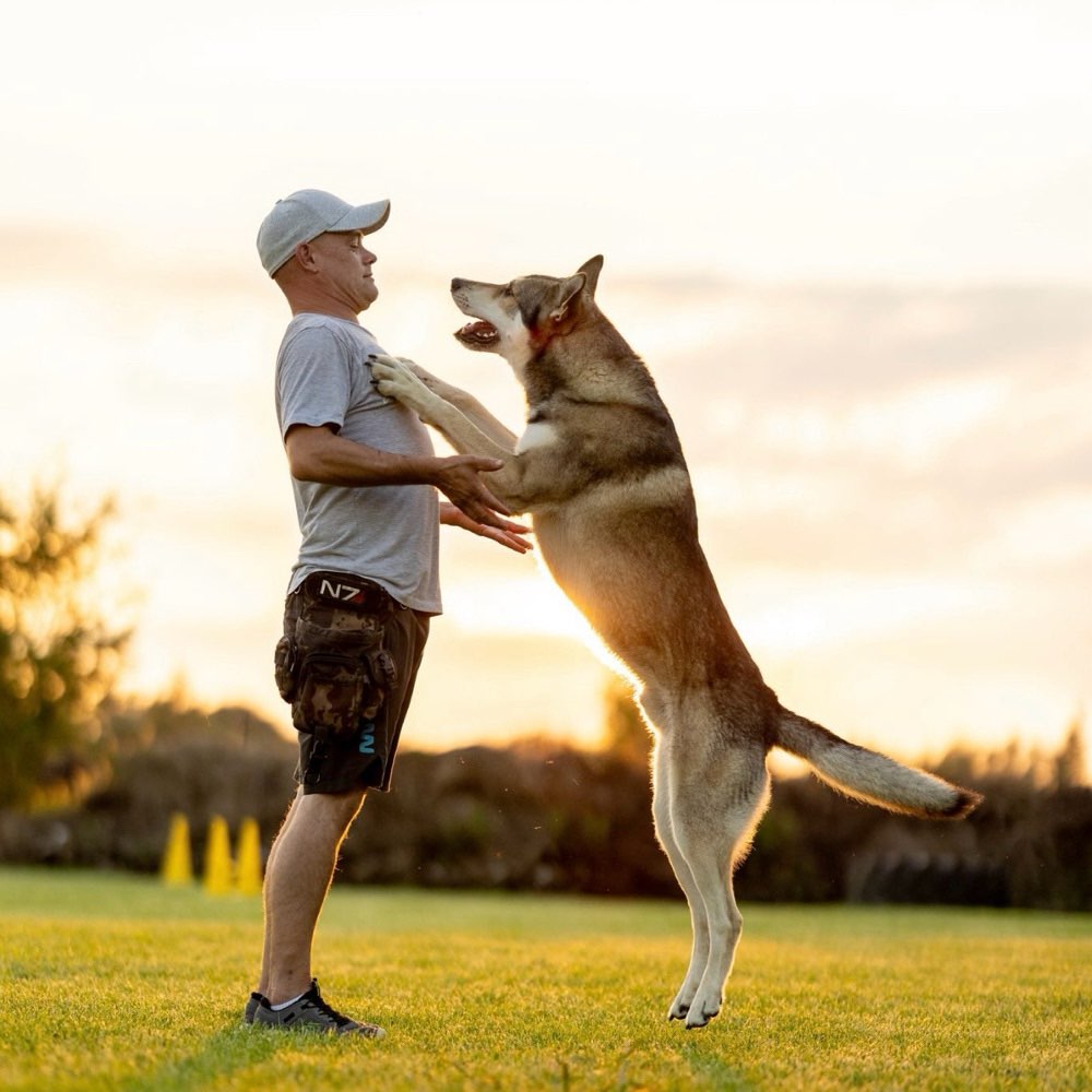 Hundetreffen-Mit Hund👣🐾🥰… ohne Strafe!!!🙌🏻-Profilbild
