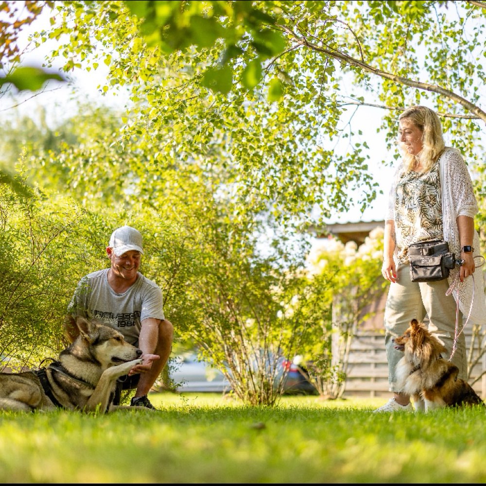 Hundetreffen-Kleine Hunde… ganz Groß!🙌🏻-Profilbild