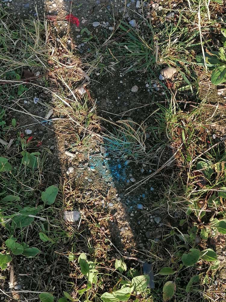 Giftköder-Giftpulver oder ähnliches-Profilbild