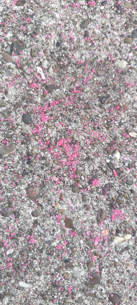 Giftköder-Eventuell Ratengift-Profilbild