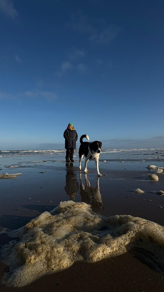 Hundetreffen-Hunderunde in Recklinghausen-Profilbild