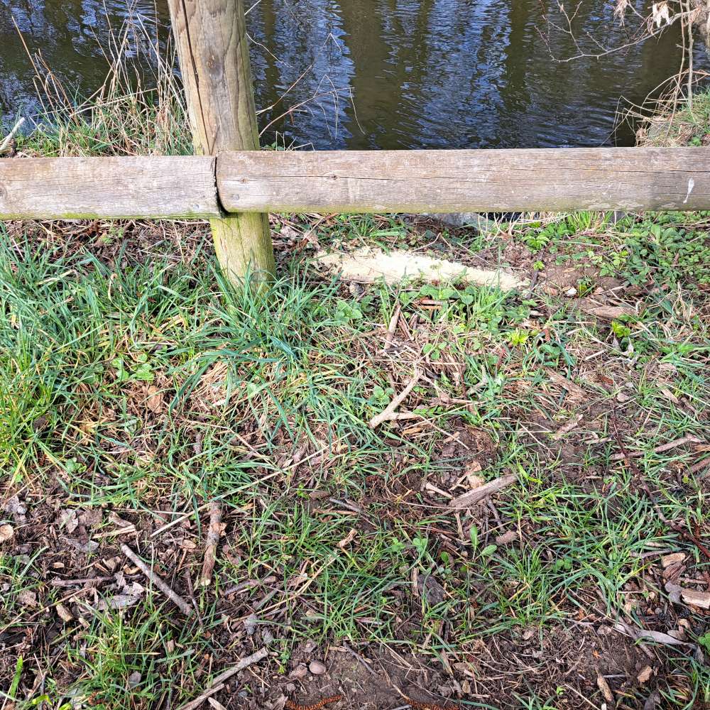 Giftköder-Seltsames gelbes Pulver oder Brösel ERL.-Profilbild