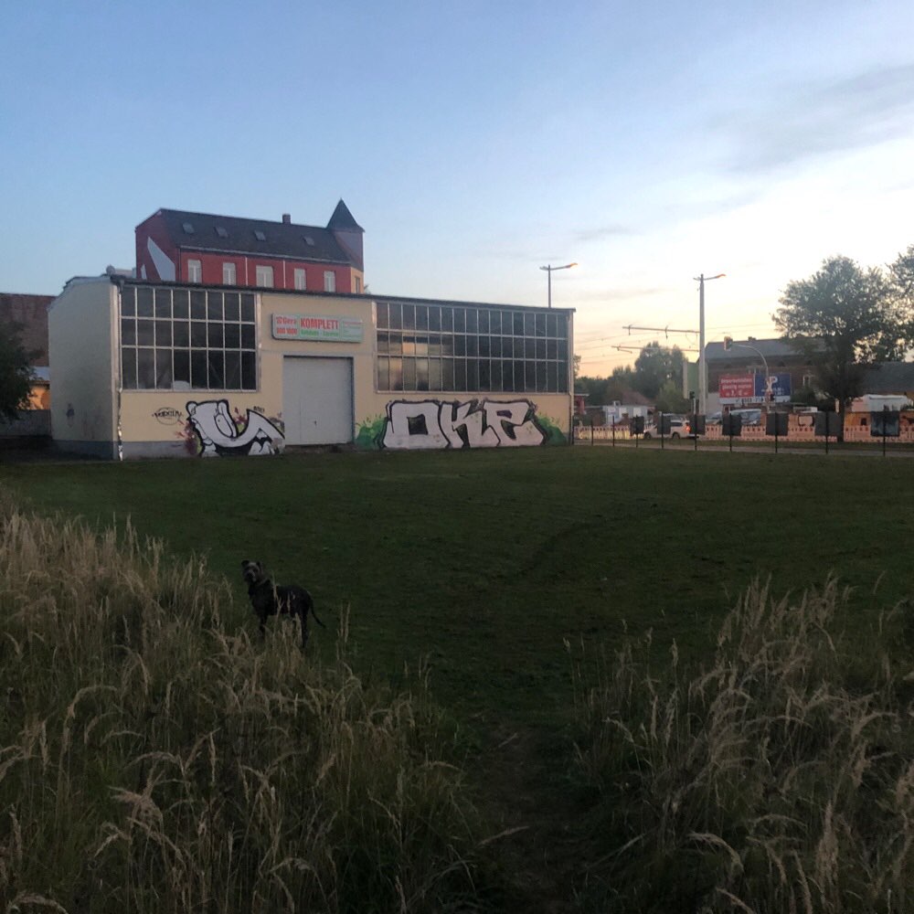 Hundetreffen-Hundetreffen 🐶🐶-Profilbild