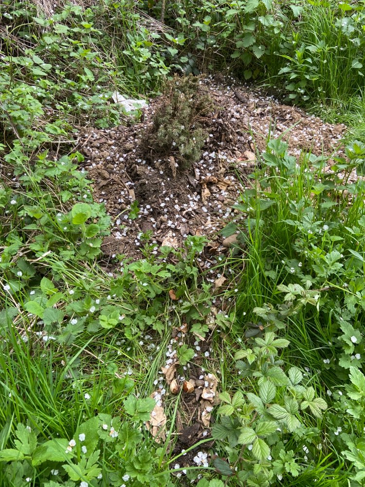 Giftköder-Für Hunde giftiger Bioabfall!!-Profilbild