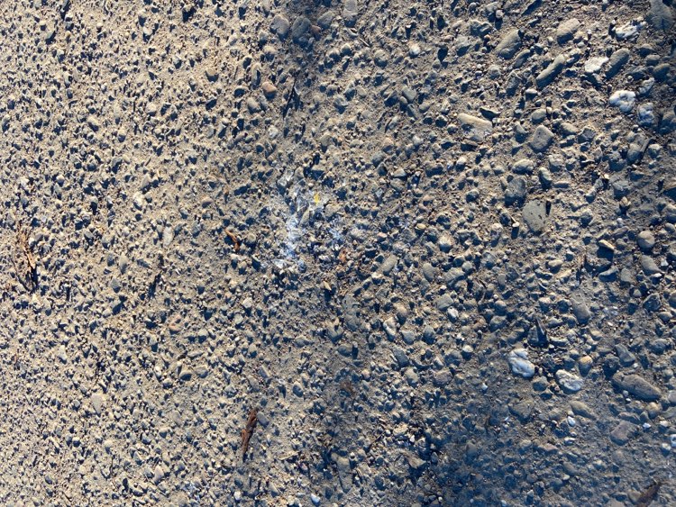 Giftköder-Glasscherben-Profilbild