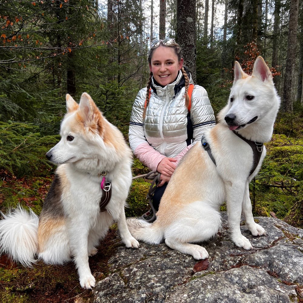 Hundetreffen-Spielrund rund um Rottenburg-Profilbild
