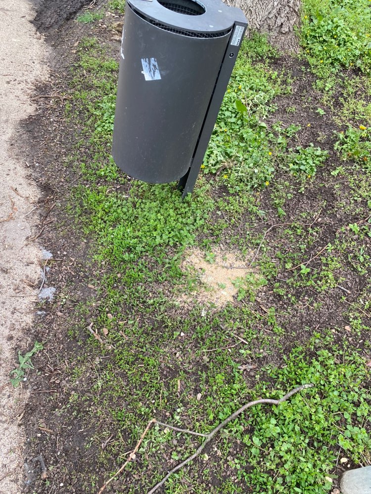 Giftköder-Möglicher Giftköder-Profilbild