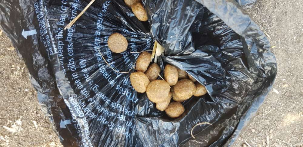 Giftköder-Möglicher Giftköder-Profilbild