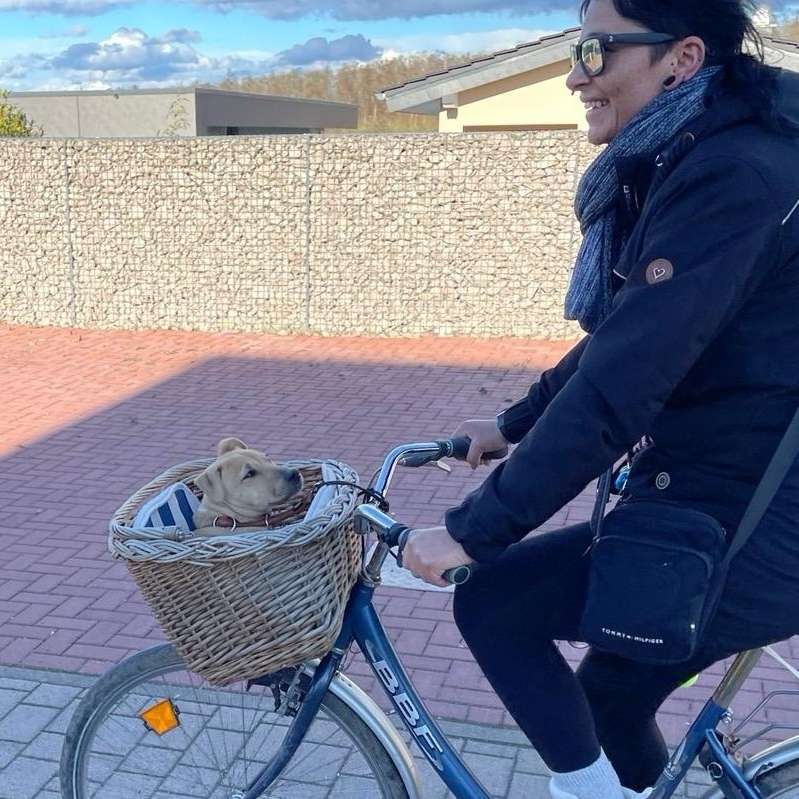 Hundetreffen-Spielerunde-Profilbild