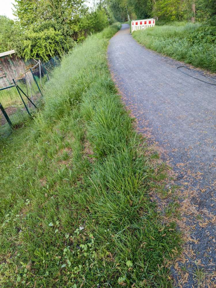 Giftköder-Trockenfutter ausgelegt-Profilbild