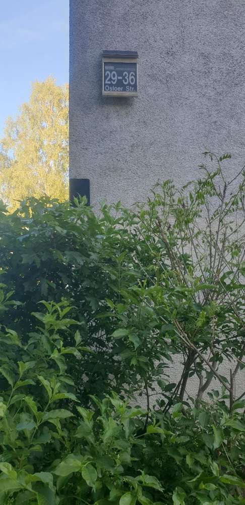 Giftköder-Seidennetzspinner-Profilbild