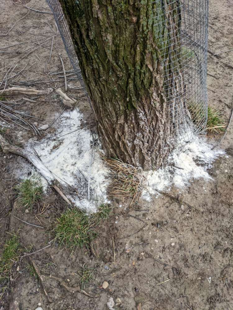 Giftköder-Weißes Pulver (geruchslos)-Profilbild