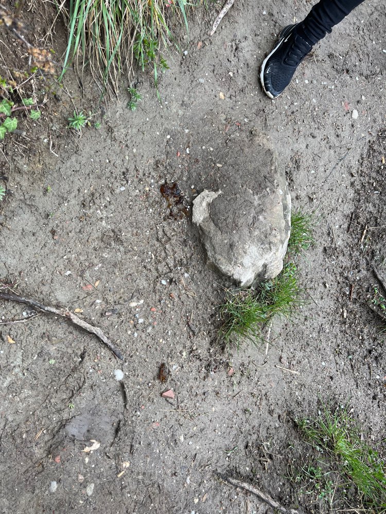 Giftköder-Substanz verstreut-Profilbild