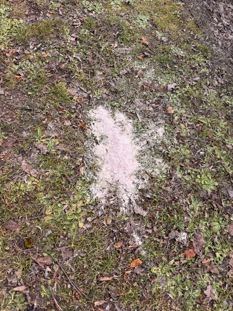 Giftköder-Essensreste und weises Pulver-Profilbild