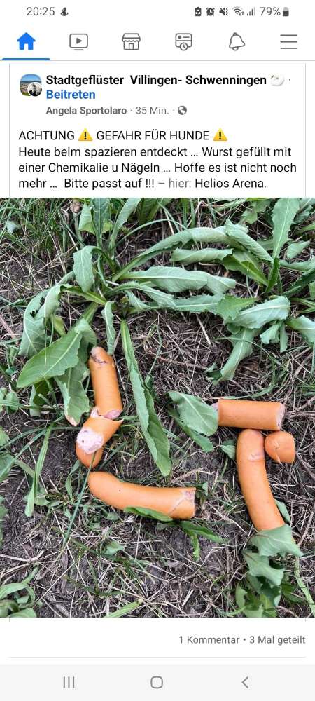 Giftköder-Wurst gefüllt mit Chemikalien und Nägel-Profilbild