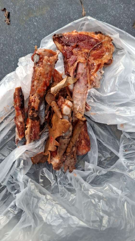 Giftköder-Mgl. Giftköder-Profilbild