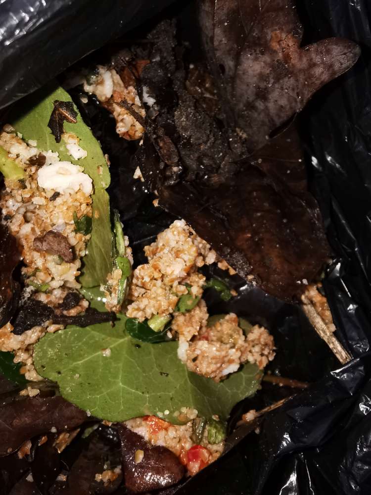 Giftköder-Fraglicher Giftköder-Profilbild