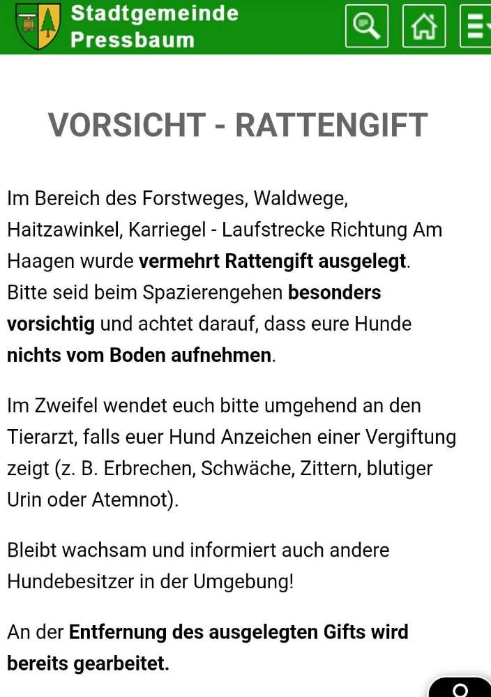 Giftköder-RATTENGIFT-Profilbild
