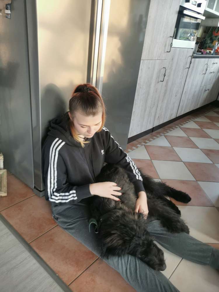 Hundetreffen-Treffen auf eine spielrunde-Profilbild