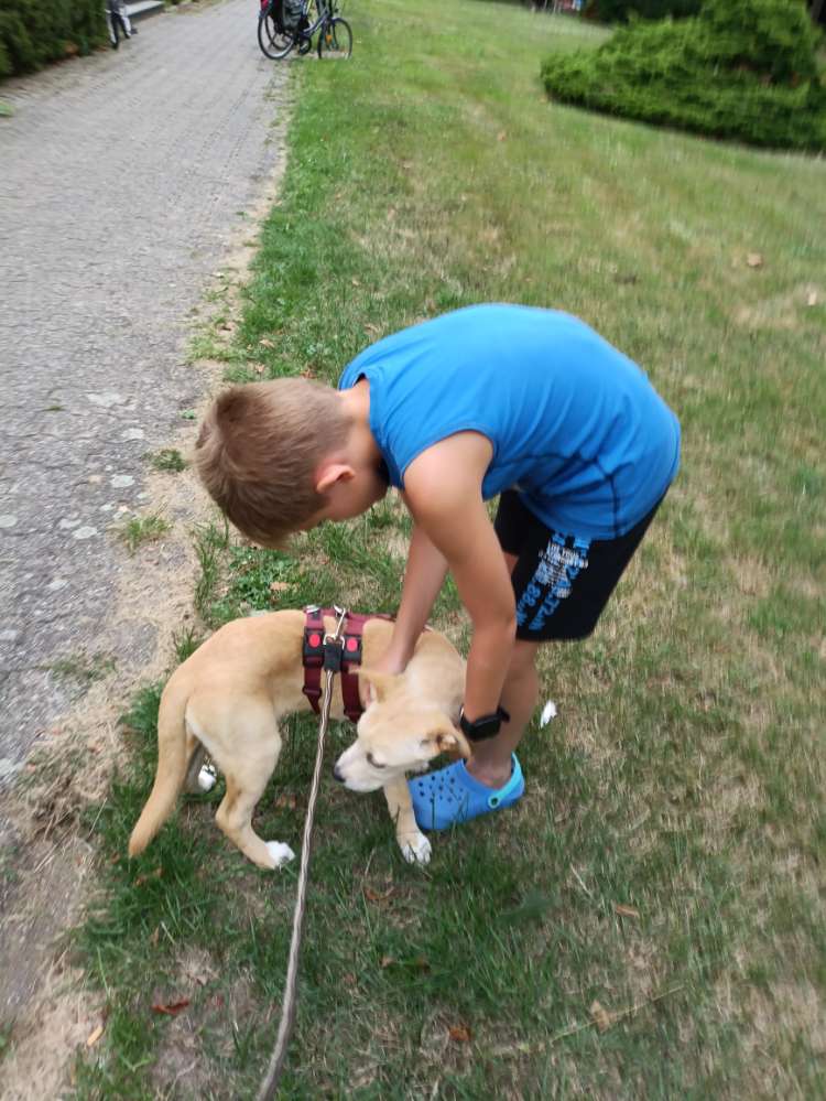 Hundetreffen-Welpen und Junghundtreffen-Profilbild