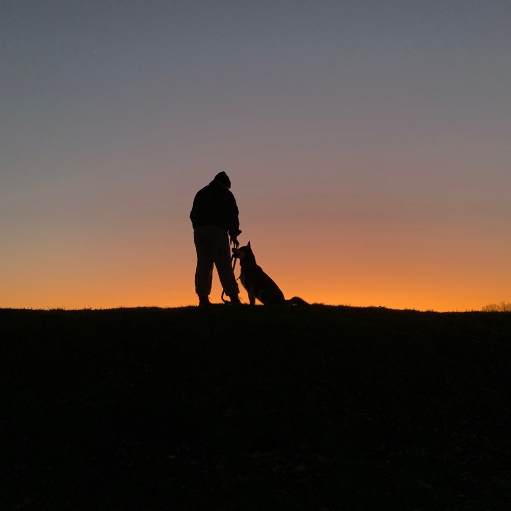 Ersteller:in Gemeinsame Hundeunde Profilbild