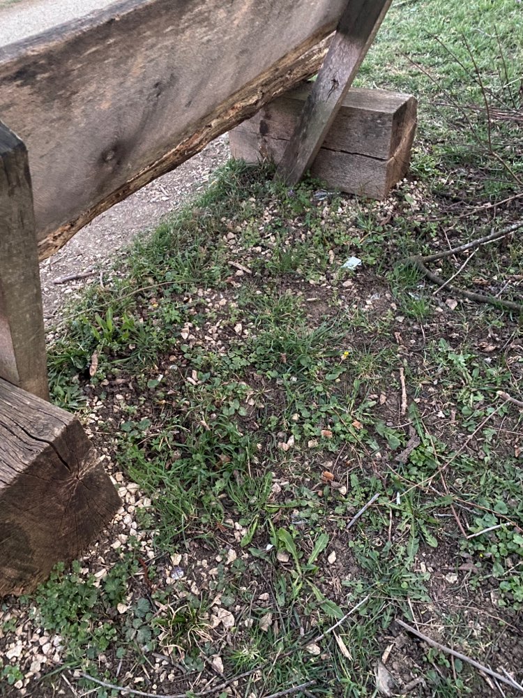 Giftköder-Dönerfleisch und Scherben-Profilbild