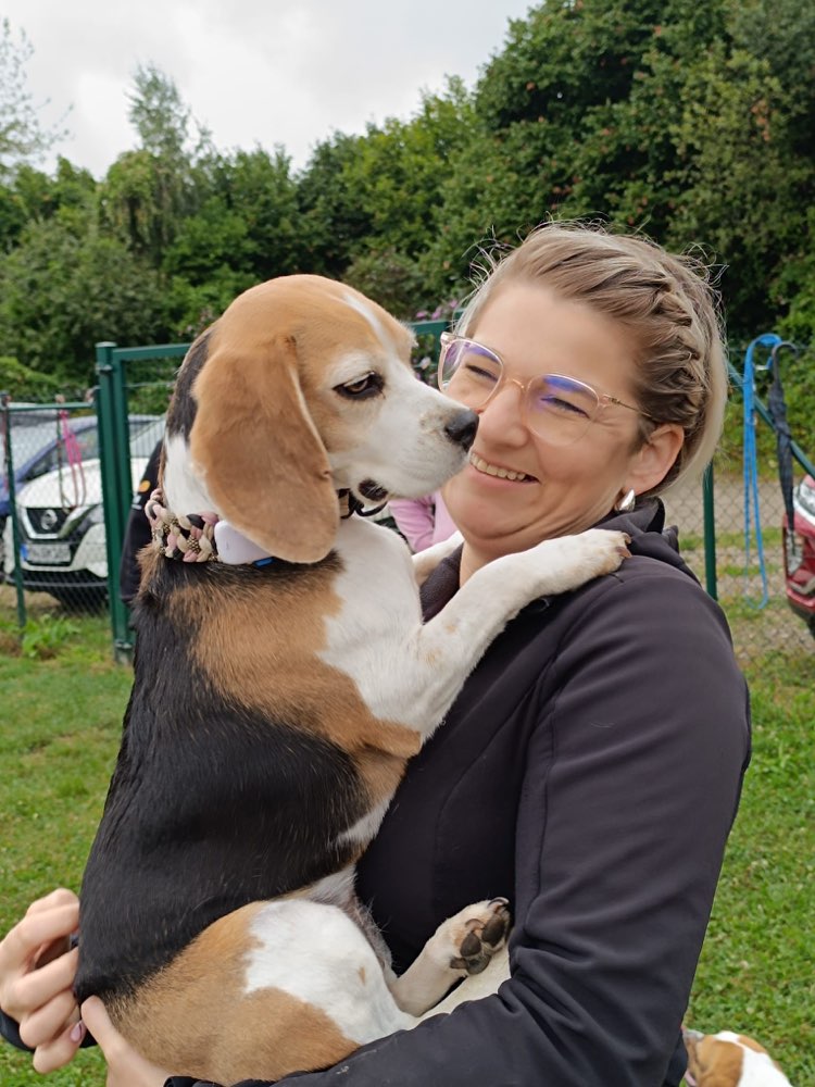 Hundetreffen-Beaglespielplatz/Meutehunde Neuwied-Profilbild