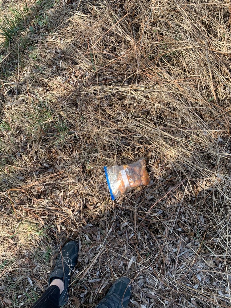 Giftköder-Rohe Hähnchenschenkel-Profilbild