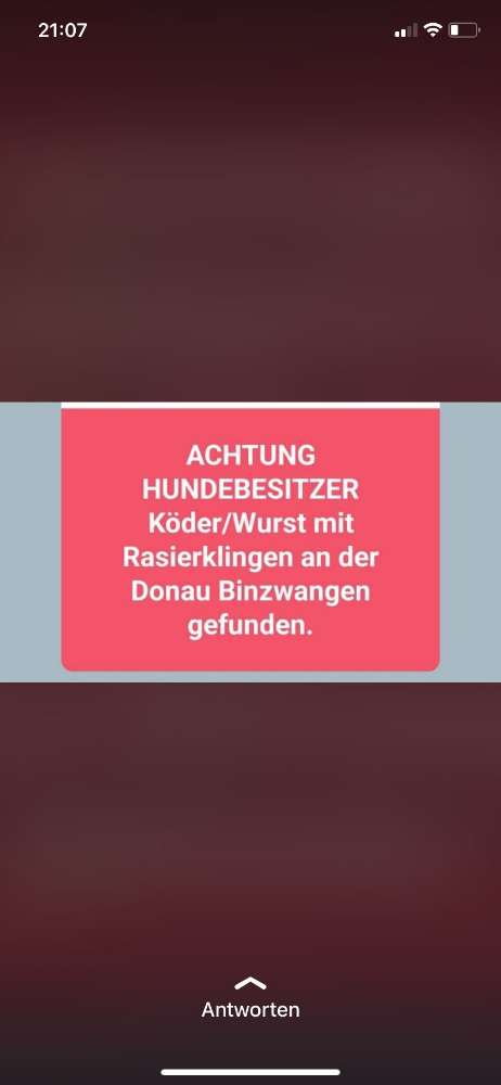 Giftköder-Giftköder gefunden-Profilbild