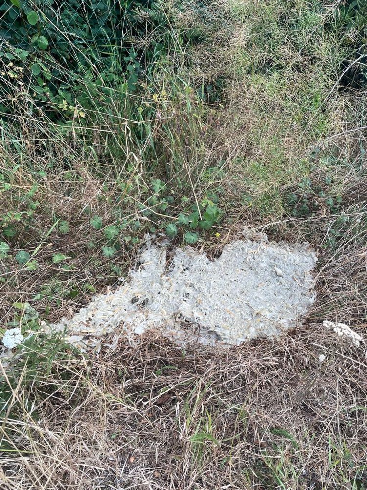 Giftköder-Möglicher Giftköder-Profilbild