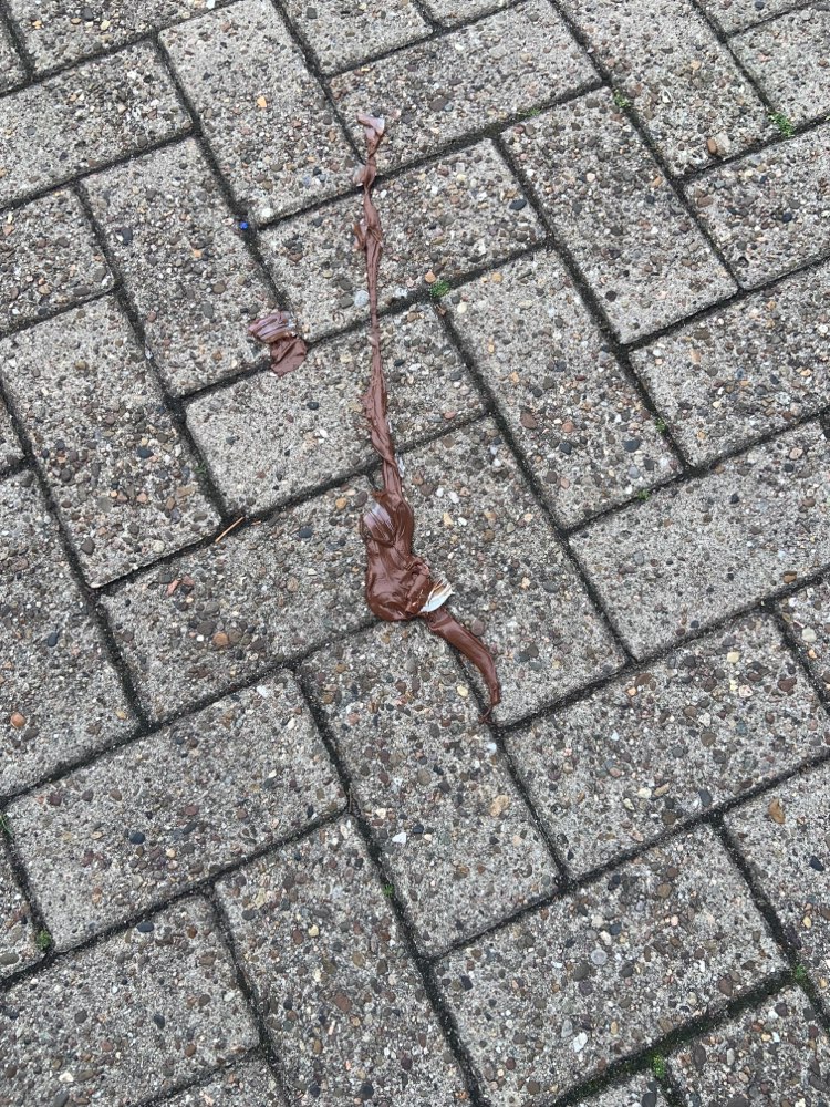 Giftköder-Schokolade mit Glasscherben - Beseitigt-Profilbild