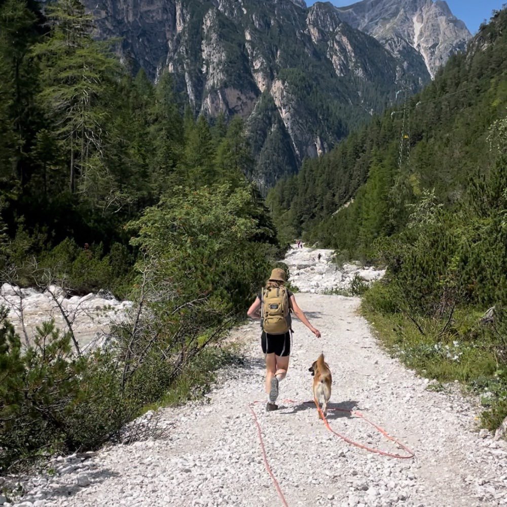 Hundetreffen-Spaziergänge im Kreis Soest-Profilbild