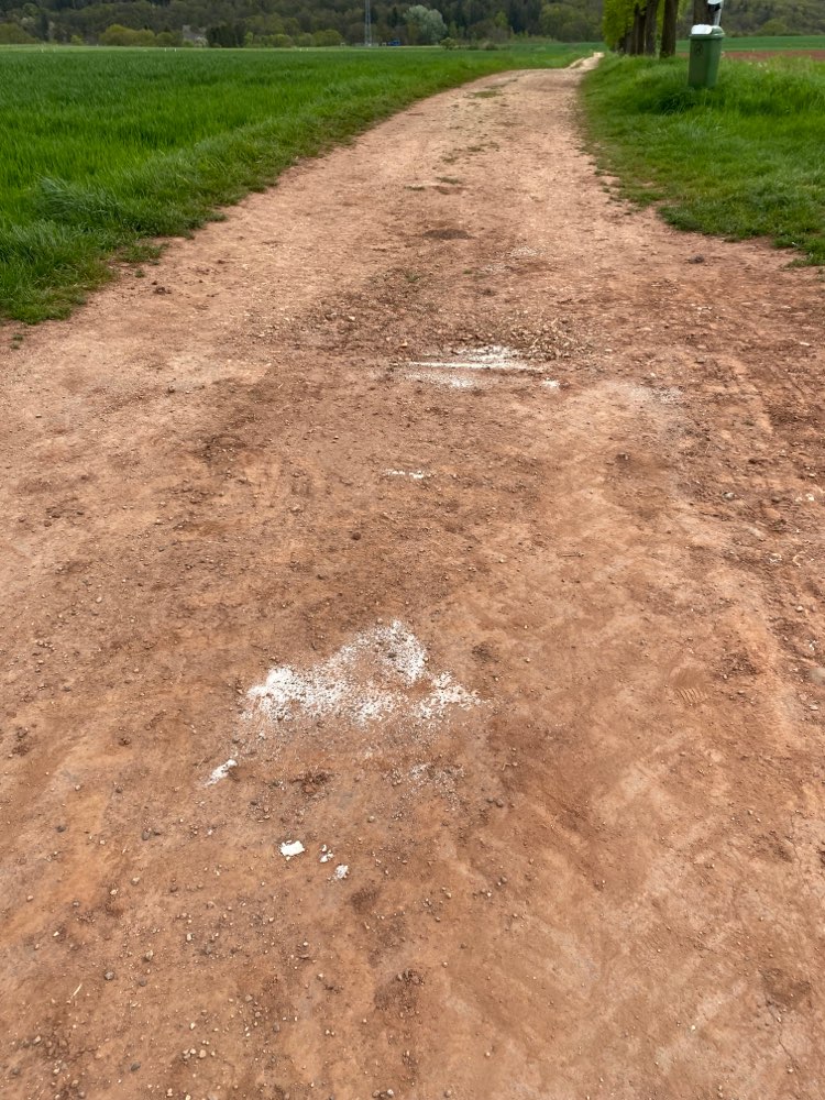 Giftköder-Vermutlich Alpha-Chloralose-Profilbild